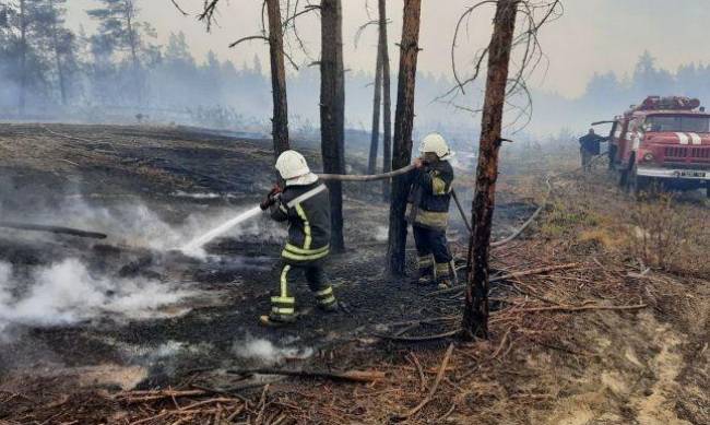 Площадь пожаров в Луганской области превысила 20 тысяч гектаров фото