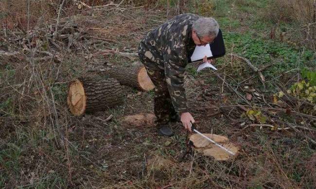 Браконьер напилил на 25 тысяч штрафа фото