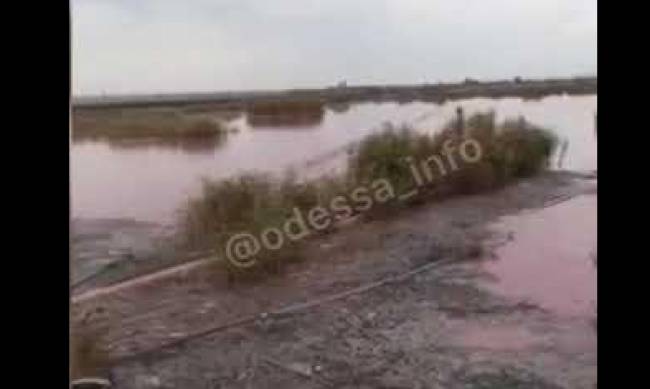 Под Николаевом вода в реке стала кровавого цвета, стоит жуткая вонь фото