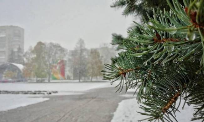 В нескольких городах Украины выпал первый снег: фото и видео фото