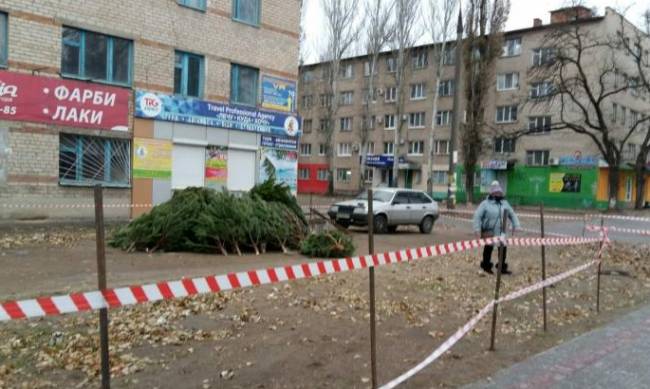 В Мелитополе начали торговать новогодними елками (ЦЕНЫ) фото