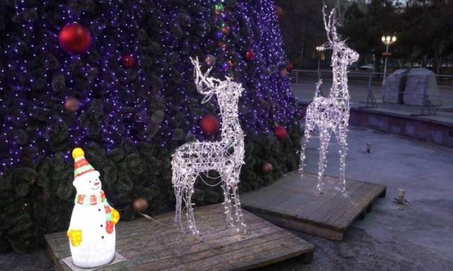 В центре Запорожья украли новогоднего оленя  фото