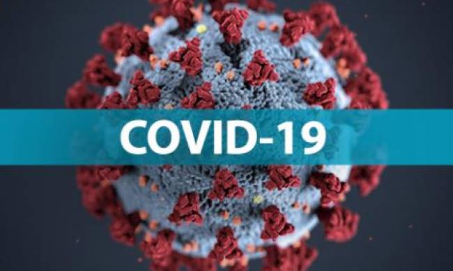 Запорожская область продолжает быть в лидерах по COVID-19 фото