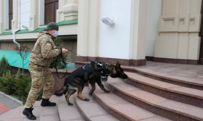 Полиция Запорожской области переведена на усиленный режим службы: названа причина фото