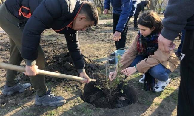 В отделе благоустройства рассказали, на что деньги тратили фото