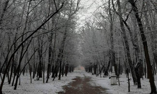 Ветреный, туманный и теплый: каким был январь в Мелитополе фото