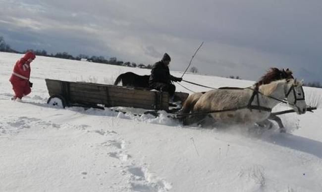 На Житомирщине девушку везли к скорой на лошадях фото