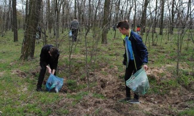 Мелитопольцев зовут на уборку лесопарка фото