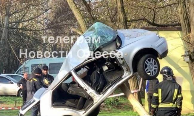 В Одессе авто припарковалось на дереве: фото, видео фото