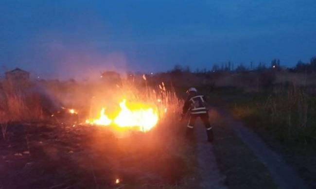 На территории Запорожской области спасатели ликвидировали 6 пожаров в природных экосистемах фото