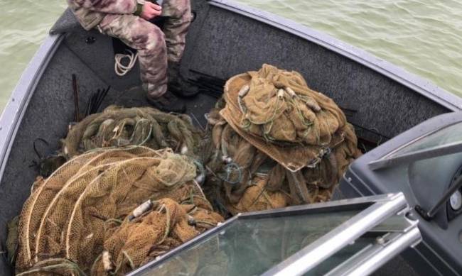 В заливе Херсонской области пограничники нашли браконьерские ловушки с уловом на 2 миллиона гривен фото