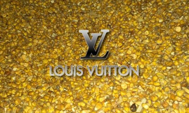 Пенсионерка из Украины хранила кукурузу в сундуке Louis Vuitton фото