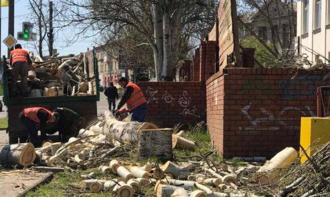 В Мелитополе сносят деревья на главном перекрестке фото