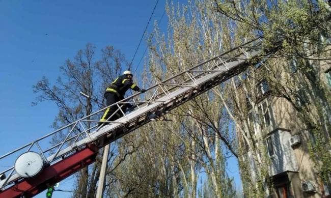 В Мелитополе пенсионерка стала заложницей собственной квартиры фото