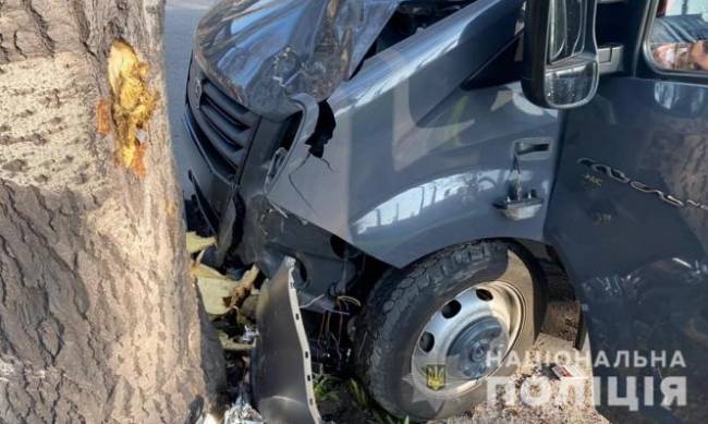 В Запорожье произошло смертельное ДТП: водитель врезался в дерево  фото