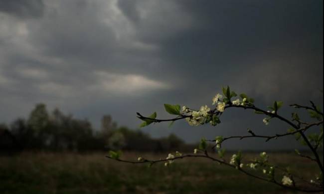 Прогноз погоды: что ожидает Мелитополь 8 мая фото