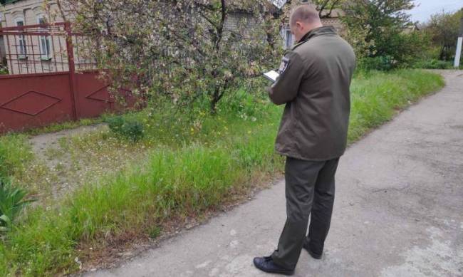 Мелитопольцев будут штрафовать за нескошенную траву фото