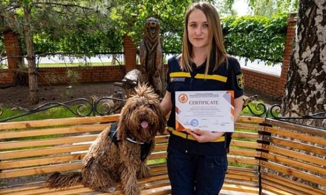 На Донбассе собака ГСЧС получила диплом терапевта фото