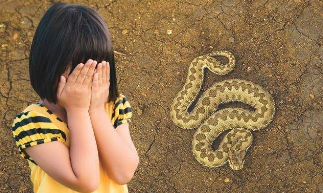 В Полтаве змея укусила ребенка на улице: за ее жизнь борются врачи фото