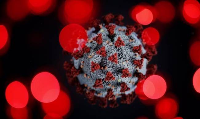 Во Вьетнаме обнаружили новый штамм коронавируса. Он более заразный и быстро передается воздушным путем фото