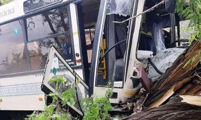 В Запорожье пассажирский автобус влетел в дерево - понадобилась помощь спасателей фото