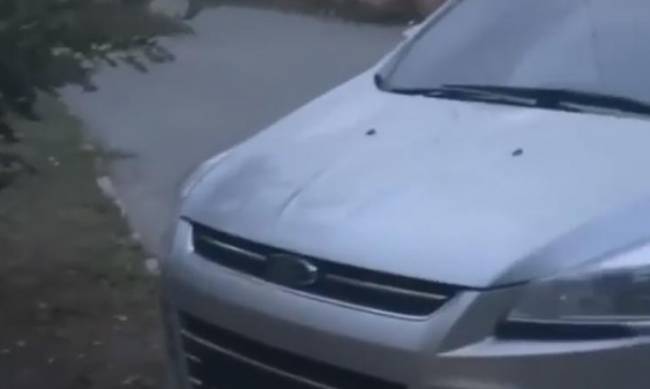В Мелитополе эпидемия краж госномеров автомобилей  фото