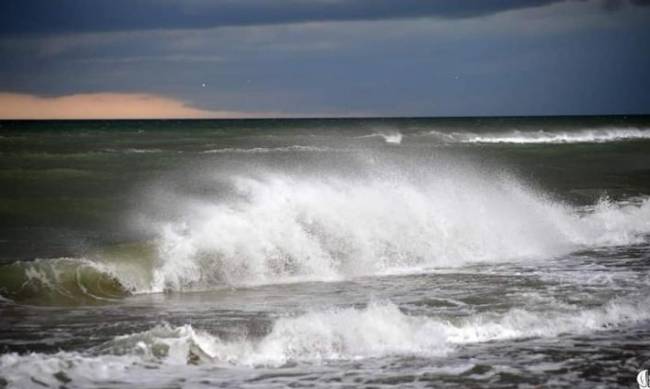 В Одессе зацвело море – отдыхающих предупредили об опасности фото