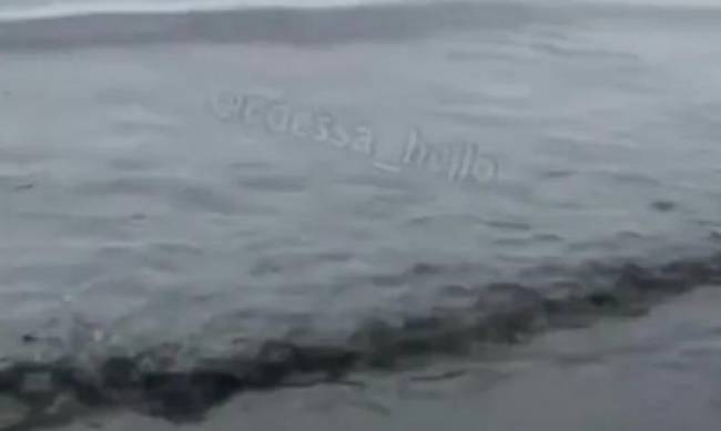 В Одессе внезапно почернело море фото