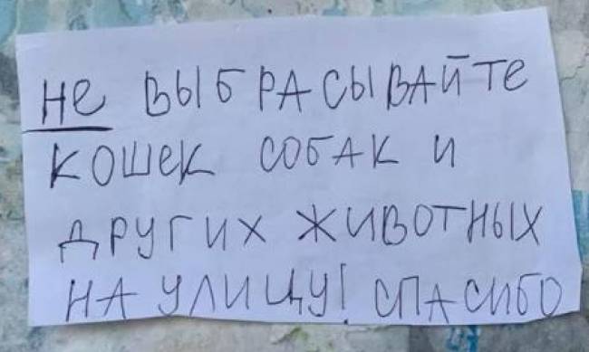 Минутка доброты: дети попросили взрослых не выбрасывать животных на улицу в Приморске фото