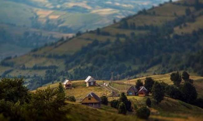 Турі вихідного дня по Карпатам фото