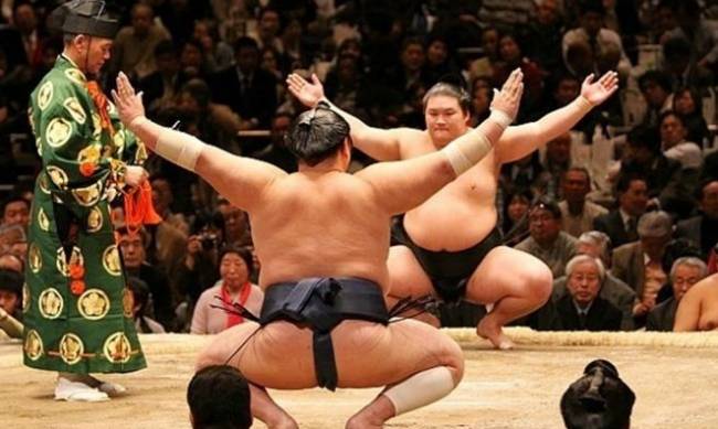 Мелитополь впервые примет взрослые соревнования по сумо фото