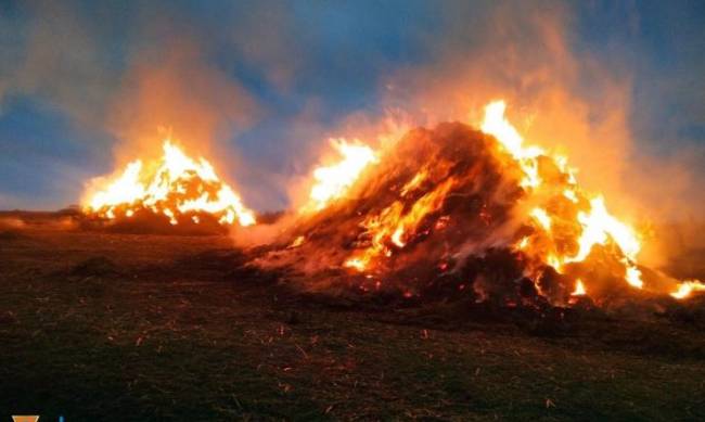 В Мелитопольском районе сельчане остались без сена фото