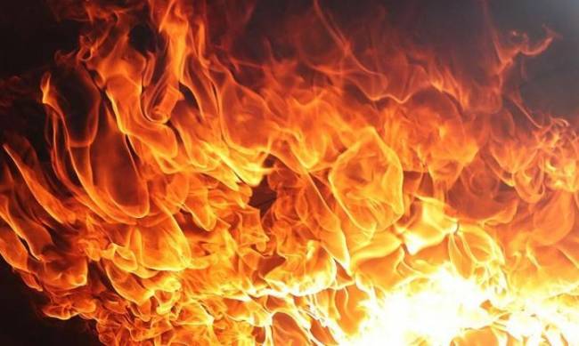В Мелитопольском районе горел сарай фото