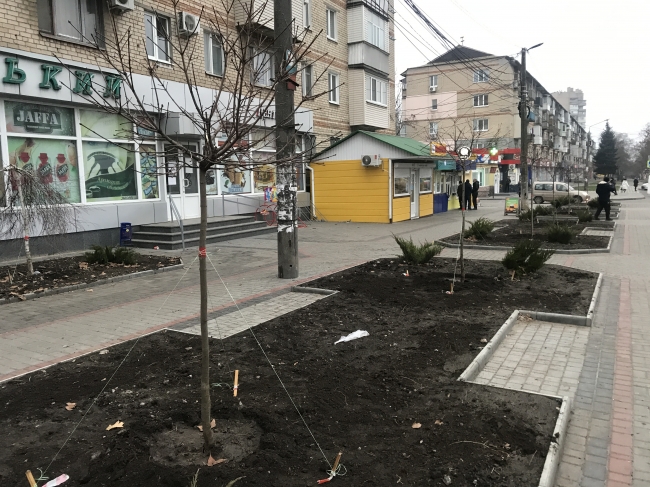 Что посадили в Мелитополе у черного гастронома и ледовой арены фото