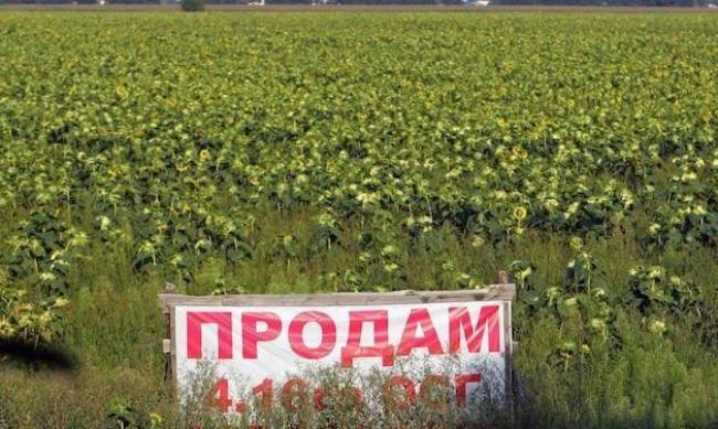 Украинцы начали активно продавать свои земли на границе с Россией фото