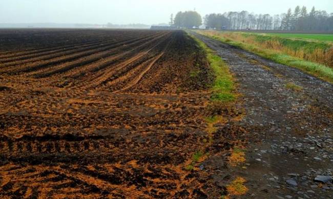 У мешканки Мелітопольщини суд конфіскував землю на мільйон фото