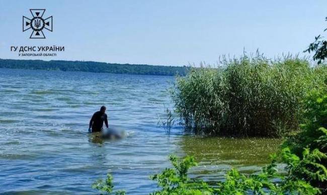 Остання рибалка: мешканця Запорізького району знайшли у воді фото