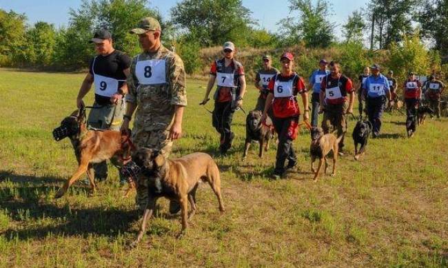 Взяти слід: у Запоріжжі пройшли безпрецедентні змагання фото