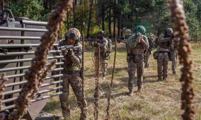 Виснажують ворога: Сили оборони України продовжують наступальну операцію на Мелітопольському напрямку фото