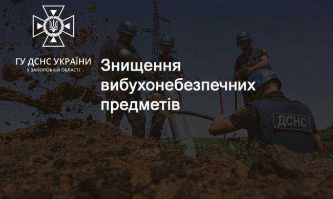 У Запоріжжі на узбережжі Дніпра знайшли мінометну міну фото