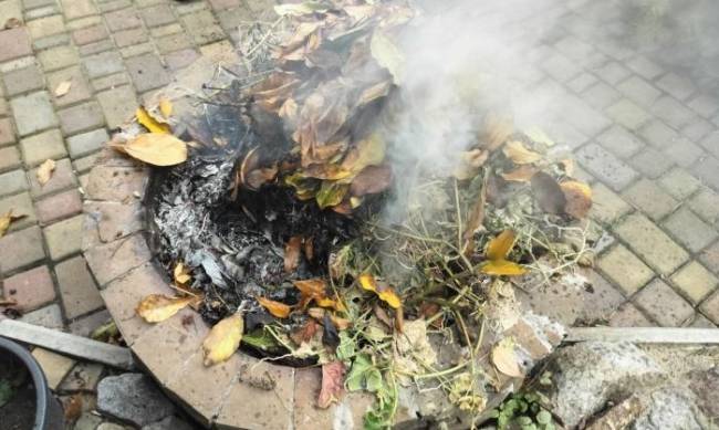 Труїв сусідів: у Запоріжжі на чоловіка, який палив листя на подвірї склали протокол фото