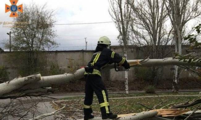 Ламалися і падали:  запорізькі рятувальники  прибрали з автошляхів та тротуарів 11 дерев фото