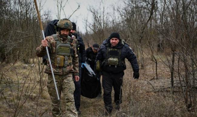 У Запорізькій області поліцейські евакуювали тіло грибника, який загинув у лісосмузі від вибуху фото