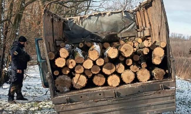 У Запорізькій області “чорні лісоруби” пропонували поліцейським хабар, щоб уникнути відповідальності фото