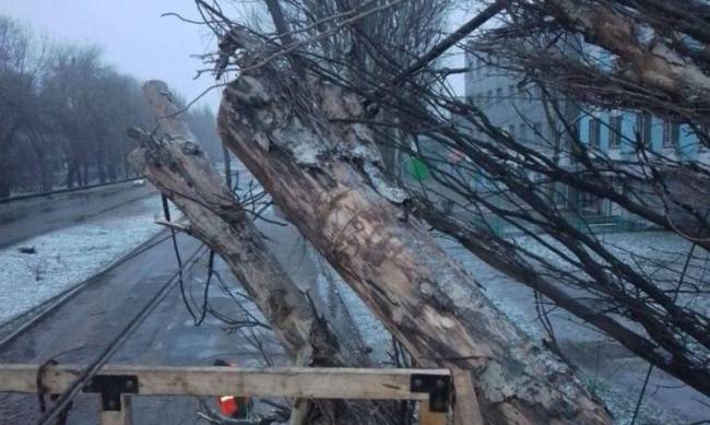 Внаслідок негоди у Запоріжжі попадали дерева та місцями зникло світло  фото