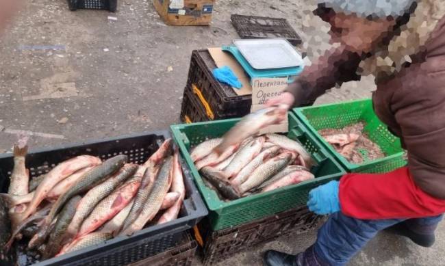 У Запоріжжі активно перевіряють місця продажу риби фото