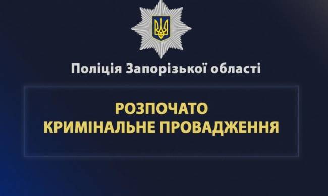 У Запоріжжі чоловік вдарив собаку ножем — тварина померла у ветлікарні фото