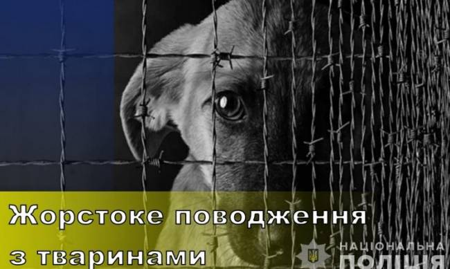 Мешканцю Запоріжжя загрожує до трьох років позбавлення волі за вбивство собаки фото
