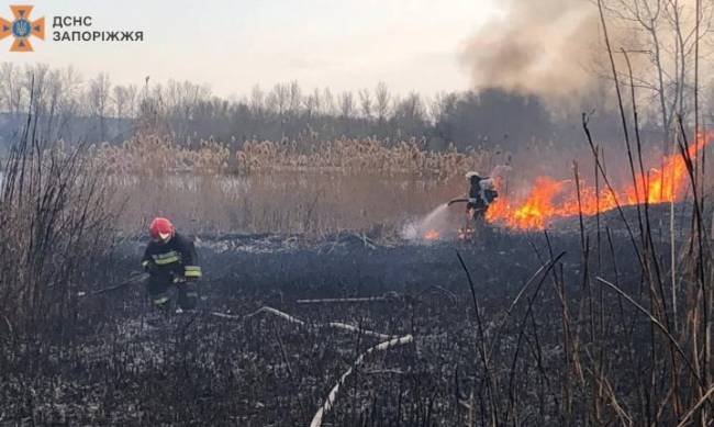 У Запорізькому районі ліквідували масштабну пожежу в екосистемі фото