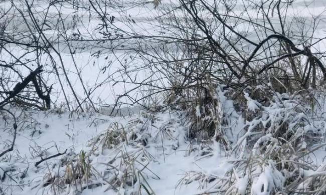 Одна з найтепліших: у Запоріжжі метеорологічна зима спостерігалась усього 18 днів фото